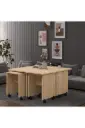 Safir Meşe