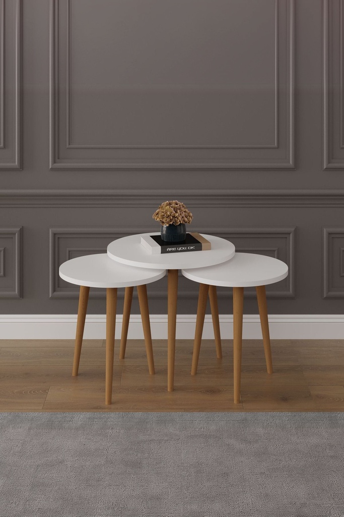3’lü Ahşap Ayaklı Yuvarlak Zigon Sehpa Takımı %100 MDF SEHPA01