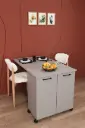 Kül Gri