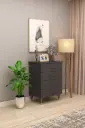 Koyu Gri
