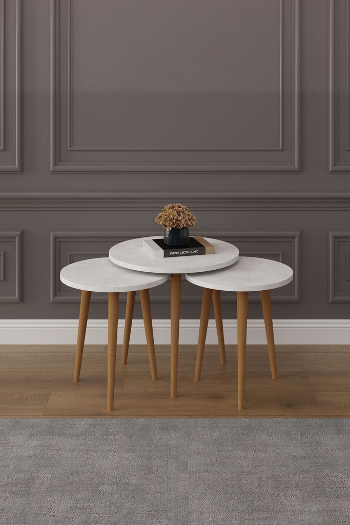 3’lü Ahşap Ayaklı Yuvarlak Zigon Sehpa Takımı %100 MDF SEHPA01