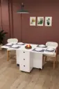 Beyaz 3 Çekmeceli Büyük Katlanır Mutfak Masası 170x70 cm KM-100 