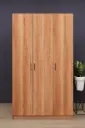 3 Kapaklı Gardırop 120x208 cm Çift Askılıklı MDFLAM Yatak Odası Gardırobu G-01